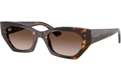 Ray-Ban RB4430 135913