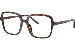 Dolce & Gabbana DG3442 502